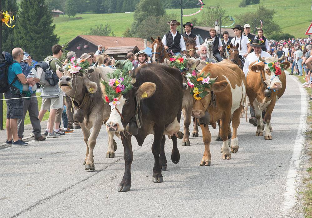 Feste und Bräuche