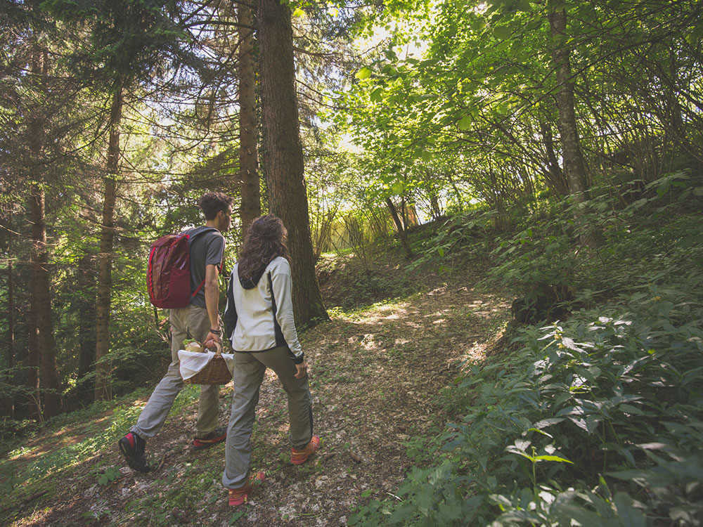 Last minute in Trentino a Luglio 